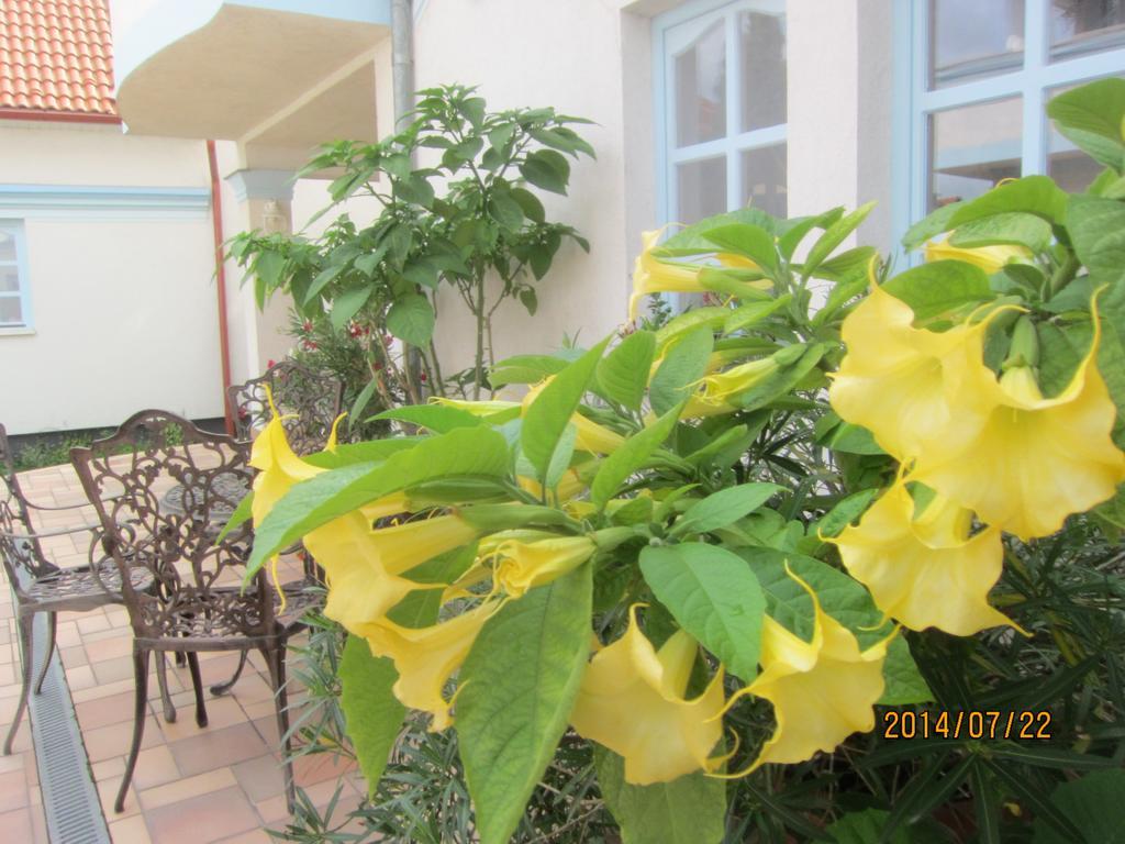 Csigahaz Panzio Hotel ยูลา ห้อง รูปภาพ